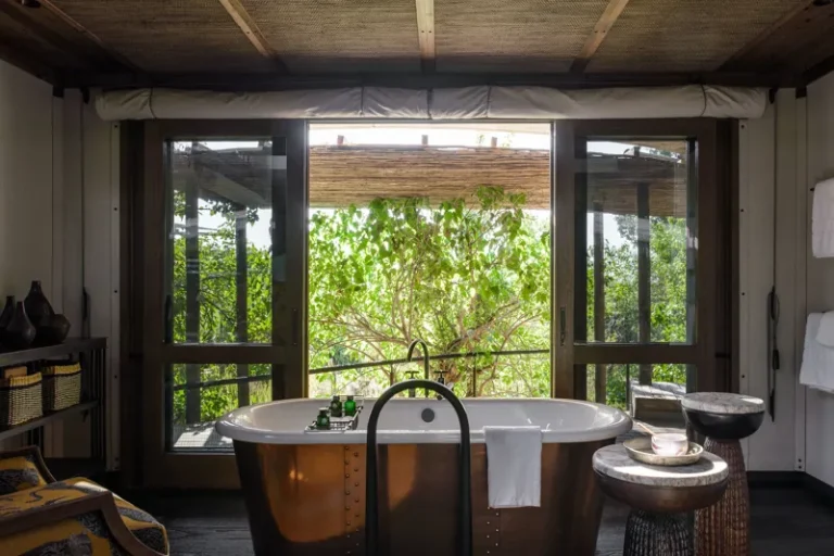 fan-palm-suite-1-bath