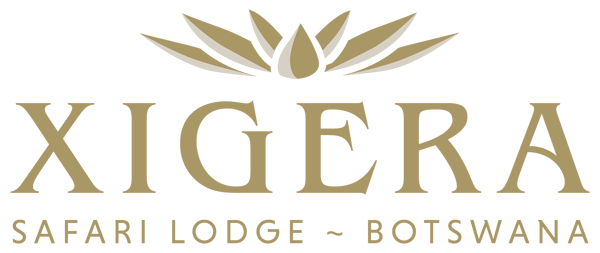 Xigera Safari Lodge